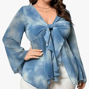 Sheer knot front blouse
